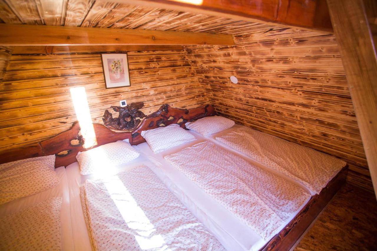 Domacija Paternoster Hotel Litija Екстериор снимка